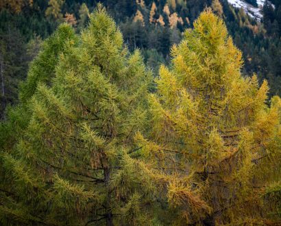 GRHolz AMMANN 20231106 387 (2)