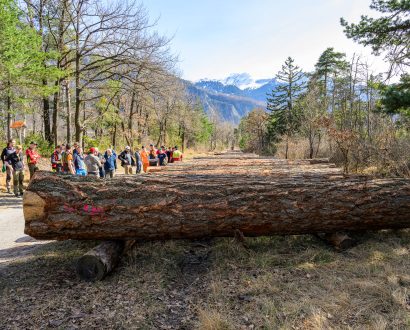 MARKUS CASUTT     PHOTOGRAPHY